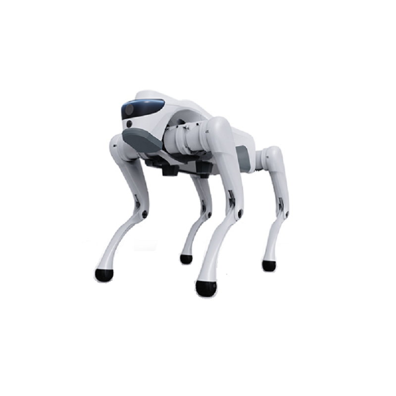 Làm thế nào một robot bốn chân có thể biến đổi các ứng dụng thông minh và công nghiệp hiện đại?