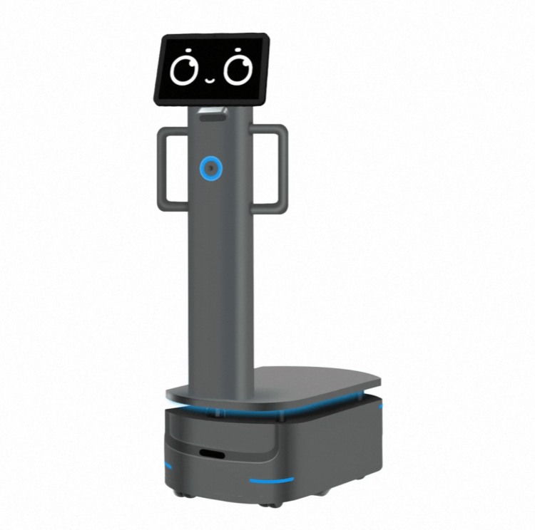 Robot tải trọng nặng để giao hàng công nghiệp
